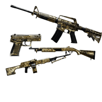 cod bo6 mystic gold camo boost