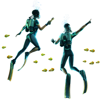 Subnautica 2 Story Completion boost