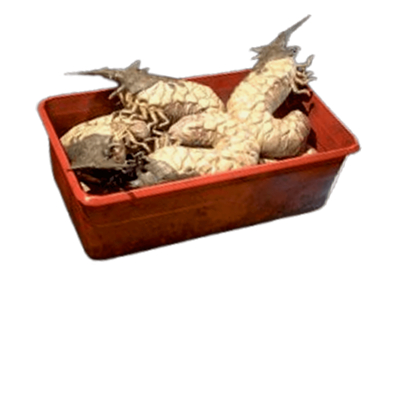 fallout 76 improved bait for sale